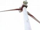 Hawaii Winds Hawaii Winds