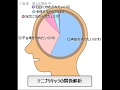 テニスの王子様の青学キャラで脳内分析してみた（腐女子推奨）