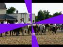 carrousels ucpa carrousels ucpa