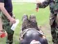examples of hazing