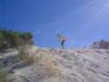 Wallaroo Crew SA - Triple Rail Slider