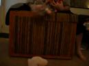 Levetating Toys