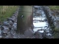 See Video