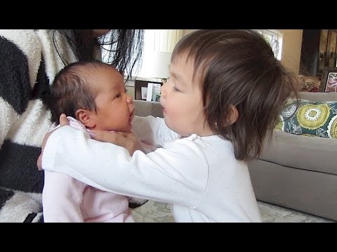 YOU MUST WATCH THIS!!! - April 14, 2014 - itsJudysLife Daily Vlog