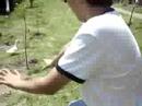 ivan burlandose d como persigo patos ¬¬ ivan burlandose d como persigo patos ¬¬