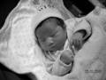 videos de Samantha Tang's first week