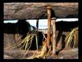 Mystery Ship Coos Bay Oregon