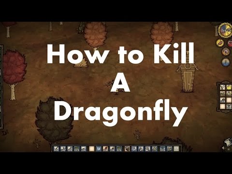 how to beat don't starve