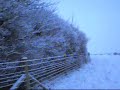 simon and garfunkel hazy shade of winter 冬の散歩道