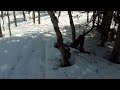 Click here to watch this video paraplegic snowmobiler 10