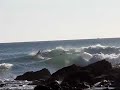Surf en Sagres (Puente de Andalucía 08) Surf en Sagres (Puente de Andalucía 08)