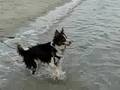 Texas & Georgia At The Beach