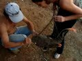 Peixe Grande - Recanto dos Peixes
