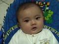 The Mao Mao