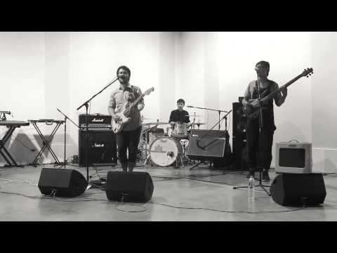 วง The Parkinson