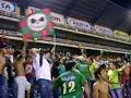 el verde es mi vida es mi alegria-fv