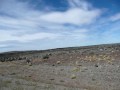 Ruta 40 . Patagonia