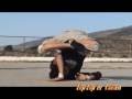 B-boy Andro  (b-boy Principiante)