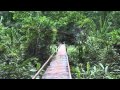 Highlights of Bolivia (Part 2) - The Amazon Basin ...