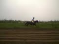 Purnoo
