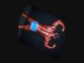 Fredy Navas - Bodybuilder - Parte II