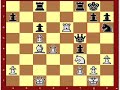 Tarrasch #213 Tarrasch #213