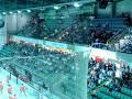 Einlauf Straubing Tigers