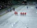 videos de Einlauf Straubing Tigers