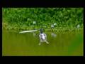 Innovator RC Helicopter Advertisement