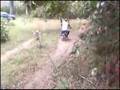 Pit bike Gas Gas - Agarrate (minimoto)