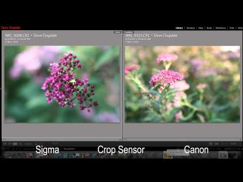 f1.4 - http://www.dslrfilmnoob.com I got together with Dave Dugdale a few weeks ago to work on this comparison video matching up the Canon 24mm f1.4 mark II and the...
