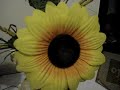 poeminha do allan...
se fosse pra escolher entre voc� e um sorriso eu escolheria voc�, pois sem voc� � imposs�vel sorrir...
te amo!!!