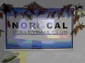 Triple Threat Academy- Volleyball Explosive Training