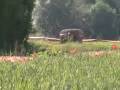 rallyes,bords,08