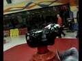 toro scherzi casamassi