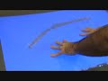 Multi-Touch Particle System Demo