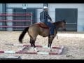 PRETTY STAR GO TARI, SAETA EQUINA 2009 & Gombac Sandi