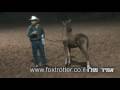 Training a horse (colt) to take fly repellent spray Training a horse (colt) to take fly repellent spray