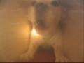 My Jack Russell Mayo Naize