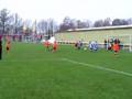 Bataven F1- Blauw Wit F2