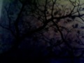 Oracle - a raw youcam version of the poem