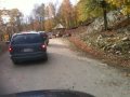 carots for deer 1