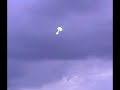 Mini 3DX Min Andra flygning! R/C flyg