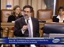 Peskin\ Peskin\