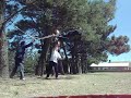 tremendo palo