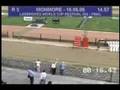 Ningbo-Jack-At-Stud-