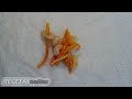 Rollitos vietnamitas