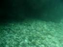 Sava Bohinjka