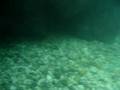 video Sava Bohinjka