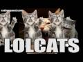Lolcats song